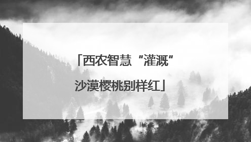 西农智慧“灌溉” 沙漠樱桃别样红