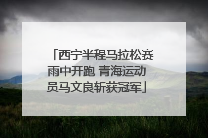 西宁半程马拉松赛雨中开跑 青海运动员马文良斩获冠军