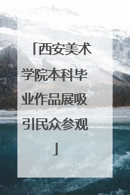 西安美术学院本科毕业作品展吸引民众参观