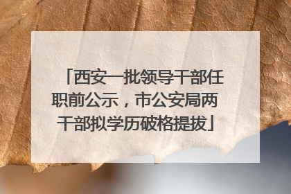 西安一批领导干部任职前公示，市公安局两干部拟学历破格提拔