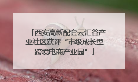 西安高新配套云汇谷产业社区获评“市级成长型跨境电商产业园”