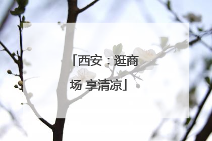 西安：逛商场 享清凉