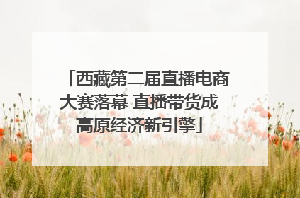 西藏第二届直播电商大赛落幕 直播带货成高原经济新引擎