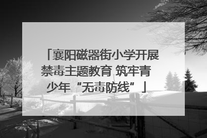 襄阳磁器街小学开展禁毒主题教育 筑牢青少年“无毒防线”