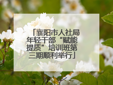 襄阳市人社局年轻干部“赋能提质”培训班第三期顺利举行
