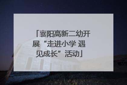 襄阳高新二幼开展“走进小学 遇见成长”活动