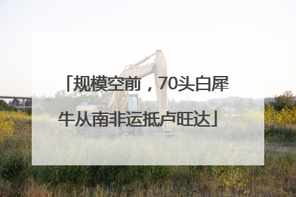 规模空前，70头白犀牛从南非运抵卢旺达