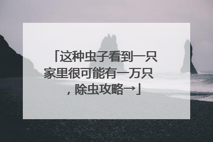 这种虫子看到一只家里很可能有一万只，除虫攻略→