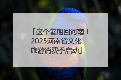 这个暑期回河南！2025河南省文化旅游消费季启动