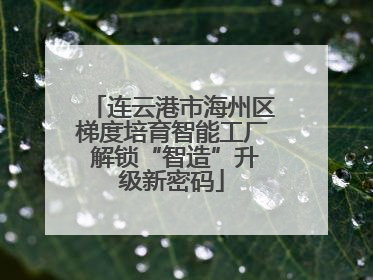 连云港市海州区梯度培育智能工厂 解锁“智造”升级新密码