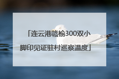 连云港赣榆300双小脚印见证驻村巡察温度