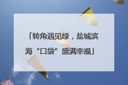 转角遇见绿，盐城滨海“口袋”盛满幸福