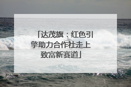 达茂旗：红色引擎助力合作社走上致富新赛道