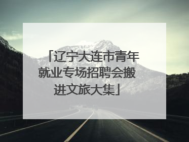 辽宁大连市青年就业专场招聘会搬进文旅大集