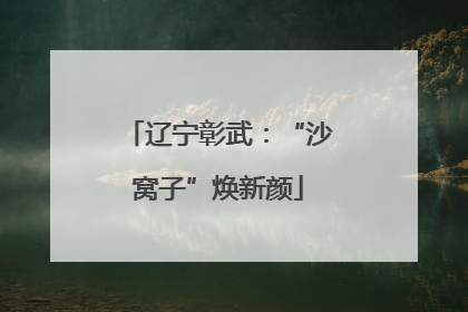 辽宁彰武：“沙窝子”焕新颜