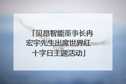 贝昂智能董事长冉宏宇先生出席世界红十字日主题活动