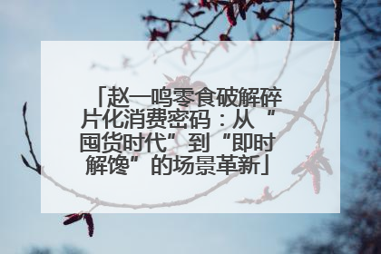 赵一鸣零食破解碎片化消费密码：从“囤货时代”到“即时解馋”的场景革新