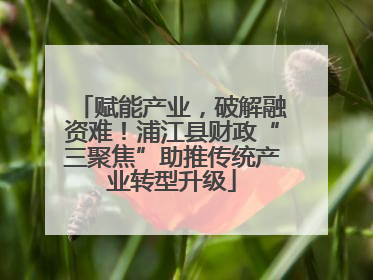 赋能产业，破解融资难！浦江县财政“三聚焦”助推传统产业转型升级