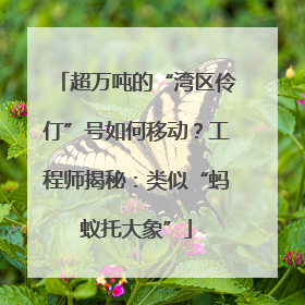 超万吨的“湾区伶仃”号如何移动？工程师揭秘：类似“蚂蚁托大象”