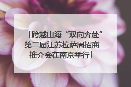 跨越山海“双向奔赴” 第二届江苏拉萨周招商推介会在南京举行