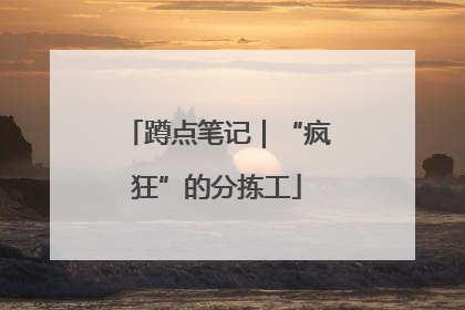 蹲点笔记｜“疯狂”的分拣工