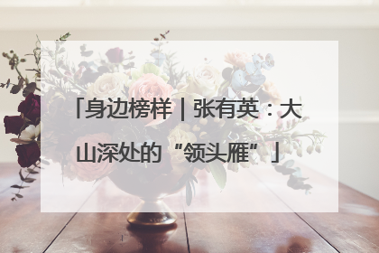 身边榜样｜张有英：大山深处的“领头雁”