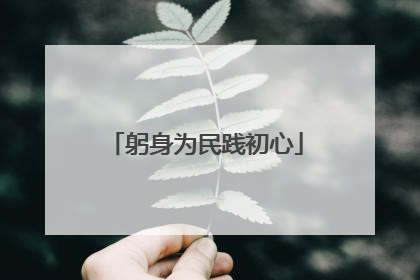 躬身为民践初心