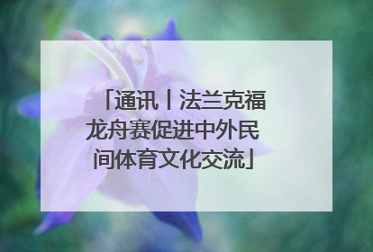 通讯丨法兰克福龙舟赛促进中外民间体育文化交流