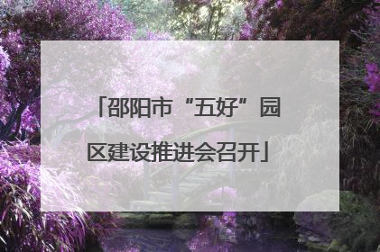 邵阳市“五好”园区建设推进会召开