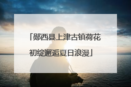 郧西县上津古镇荷花初绽邂逅夏日浪漫