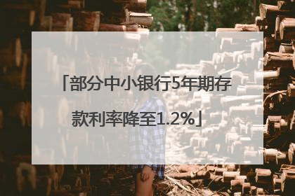 部分中小银行5年期存款利率降至1.2%