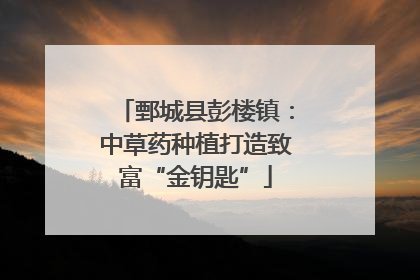 鄄城县彭楼镇：中草药种植打造致富“金钥匙”