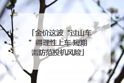 金价这波“过山车”得理性上车 短期需防范投机风险