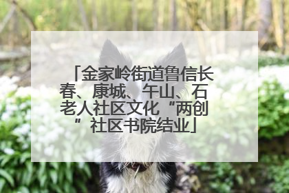 金家岭街道鲁信长春、康城、午山、石老人社区文化“两创”社区书院结业