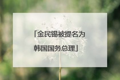 金民锡被提名为韩国国务总理