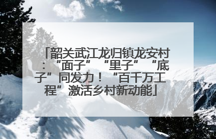 韶关武江龙归镇龙安村：“面子”“里子”“底子”同发力！“百千万工程”激活乡村新动能