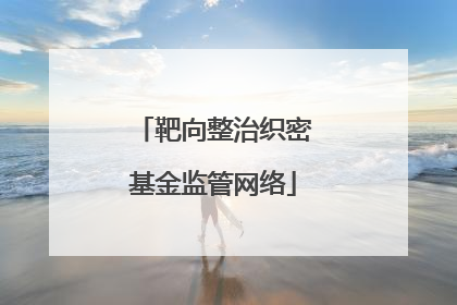 靶向整治织密基金监管网络