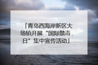 青岛西海岸新区大场镇开展“国际禁毒日”集中宣传活动