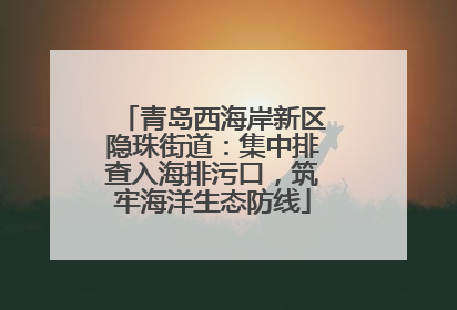 青岛西海岸新区隐珠街道：集中排查入海排污口，筑牢海洋生态防线