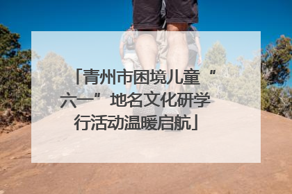青州市困境儿童“六一”地名文化研学行活动温暖启航