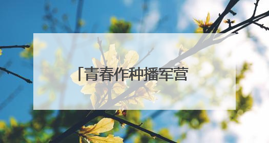 青春作种播军营 雷锋薪火照戎装