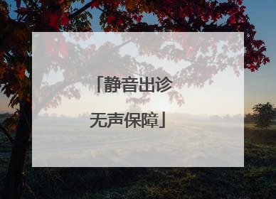 静音出诊 无声保障