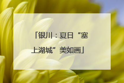 银川：夏日“塞上湖城”美如画
