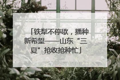 铁犁不停歇，播种新希望——山东“三夏”抢收抢种忙