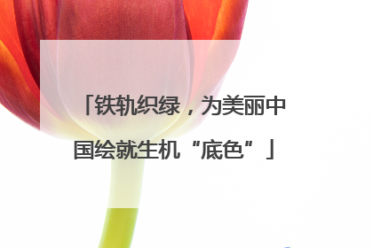 铁轨织绿，为美丽中国绘就生机“底色”