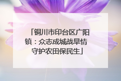 铜川市印台区广阳镇：众志成城战旱情 守护农田保民生