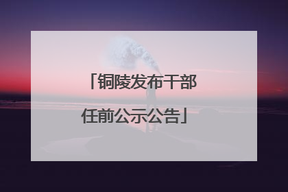 铜陵发布干部任前公示公告
