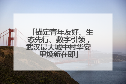 锚定青年友好、生态先行、数字引领，武汉最大城中村华安里焕新在即