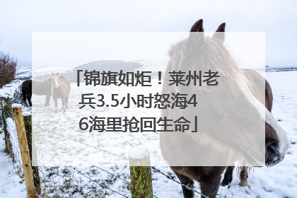 锦旗如炬！莱州老兵3.5小时怒海46海里抢回生命