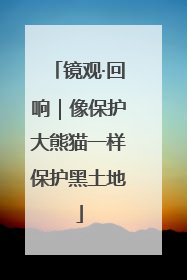 镜观·回响｜像保护大熊猫一样保护黑土地